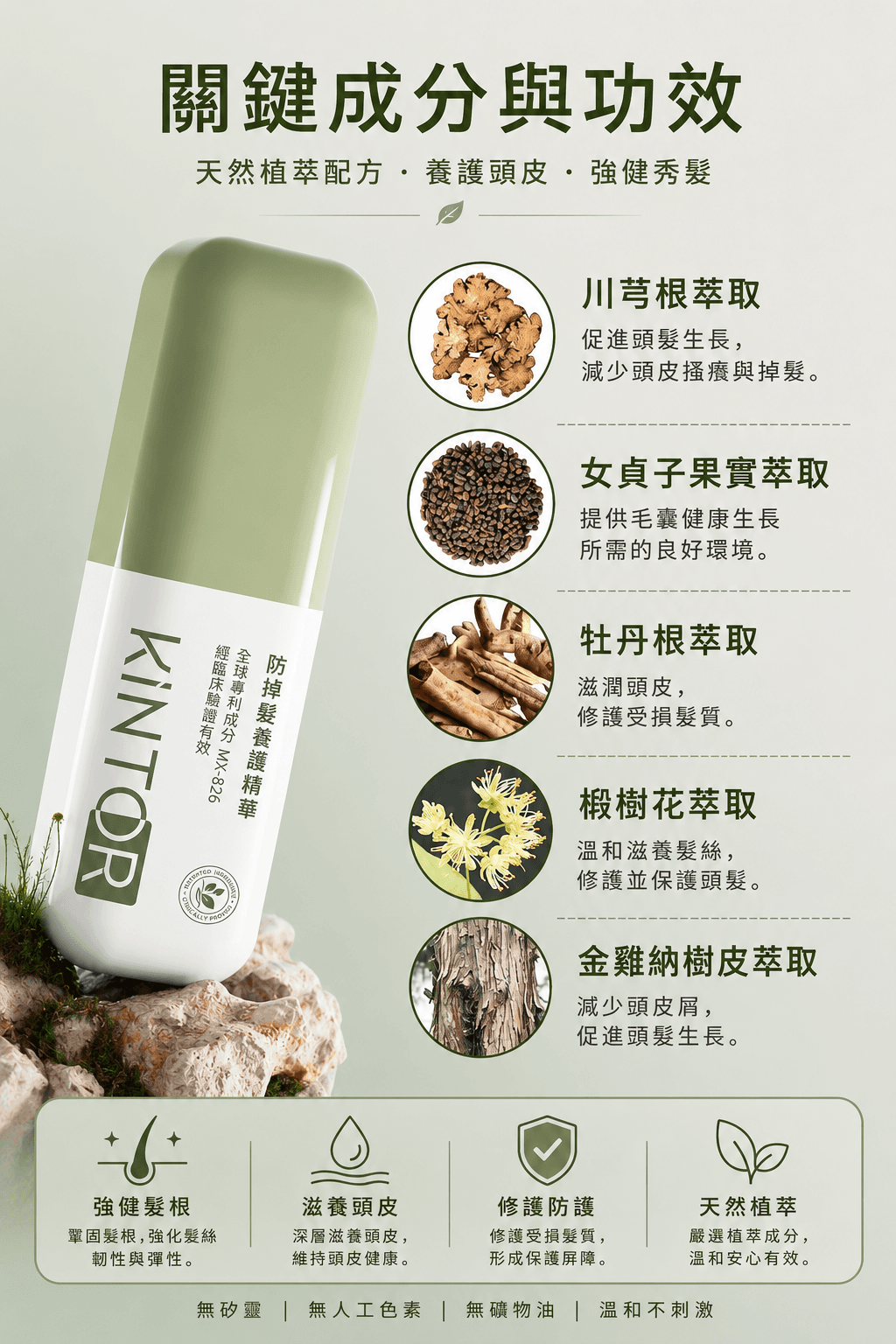 KiNTOR 關鍵成分與功效